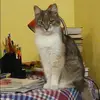 Отзыв от Василиса Медведева